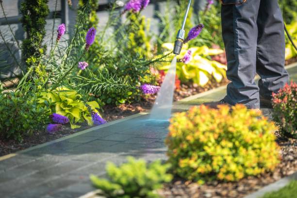 Best Soft Washing for Delicate Surfaces in Pipestone, MN