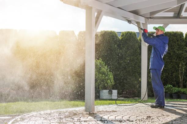 Best Roof Cleaning and Mildew Removal in Pipestone, MN